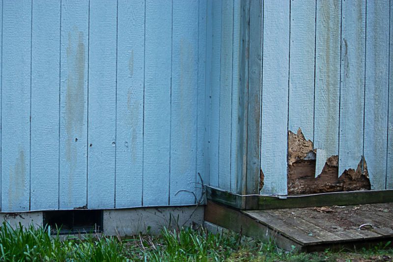 Exterior Siding Repair