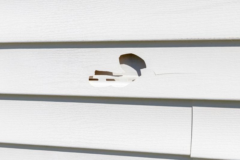 Damaged Vinyl Siding