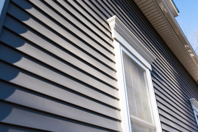 Vinyl Siding on a Modern Home