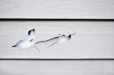 Repair Holes or Cracks in the Siding!